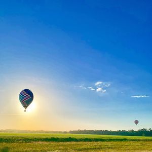 Meet your Posher, Darlene